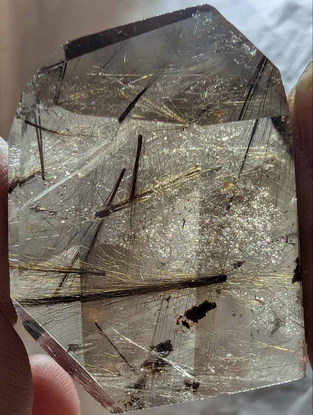 Rutilated Smoky Quartz Freeform